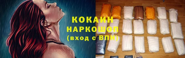 крисы Бородино