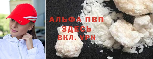 крисы Бородино