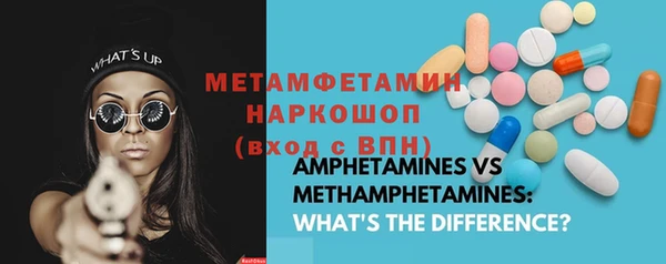 крисы Бородино
