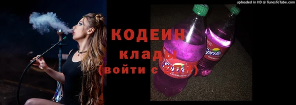 крисы Бородино