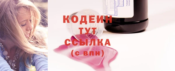 крисы Бородино