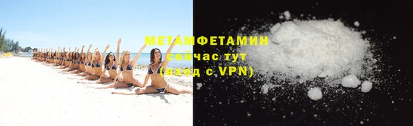 крисы Бородино