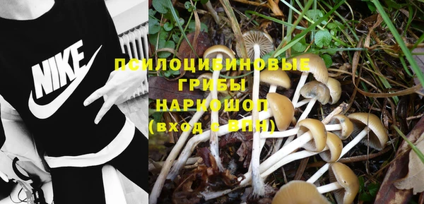 гашик Верхнеуральск