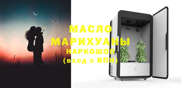 крисы Бородино
