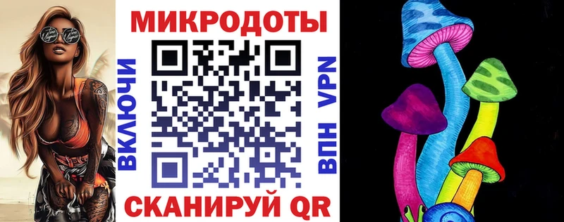 Купить где  Балашов  Псилоцибиновые грибы мицелий 